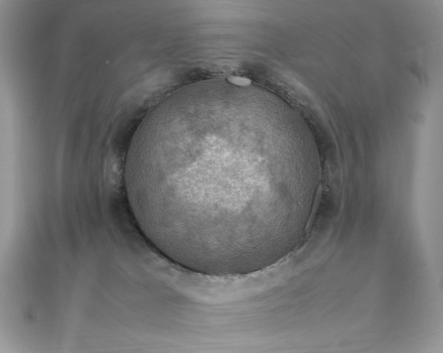 X0000112010037200908031316