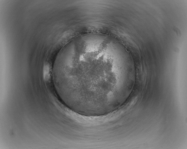 X0000112010038200908031316