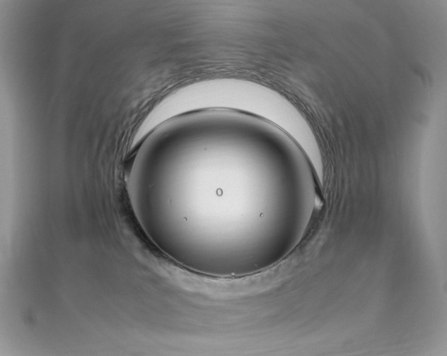 X0000112010039200908031315