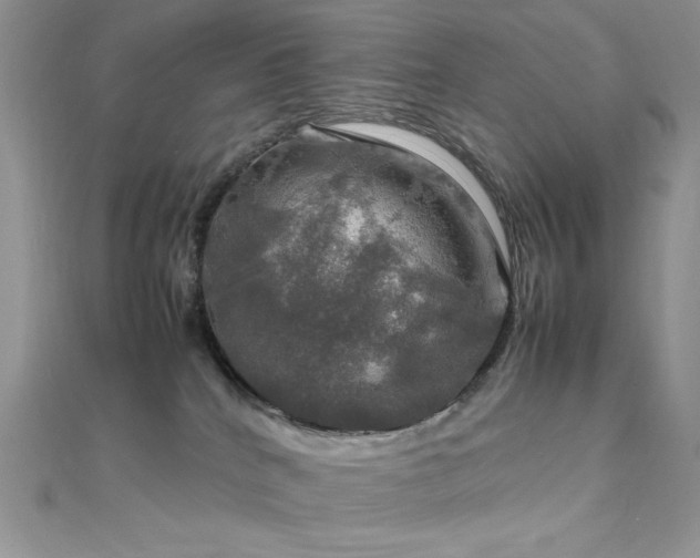 X0000112010040200908031315