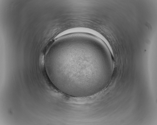 X0000112010041200908031315