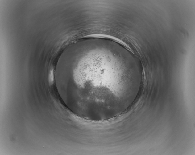 X0000112010042200908031315