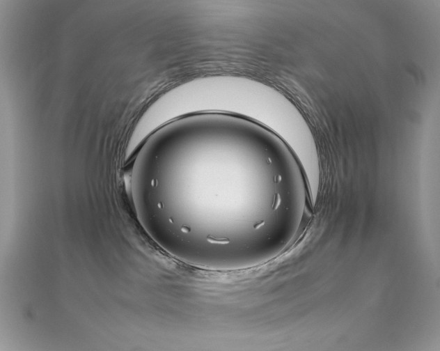 X0000112010045200908031315