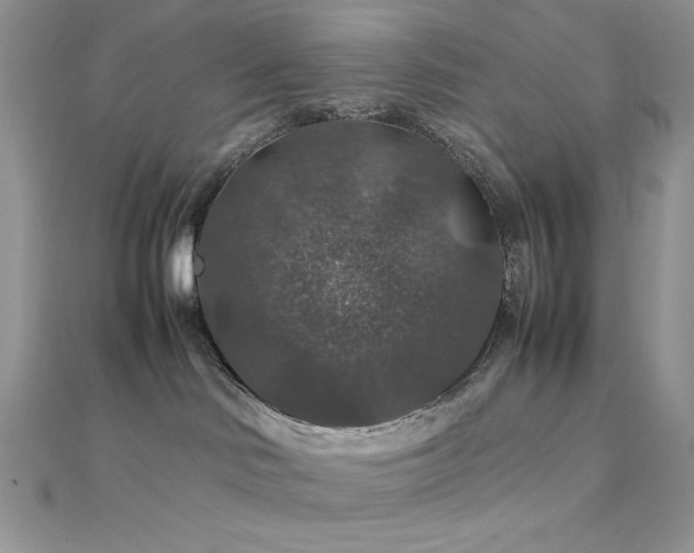 X0000112010046200908031315