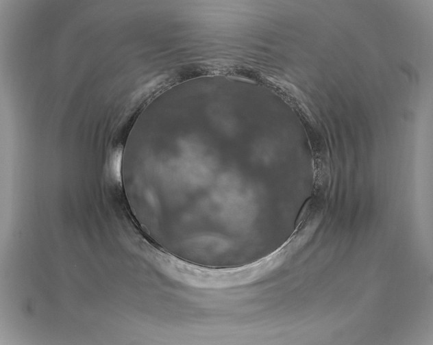 X0000112010047200908031315