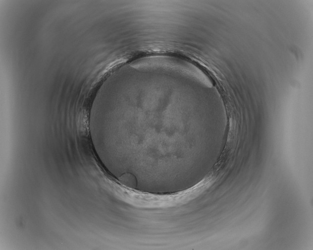 X0000112010048200908031315