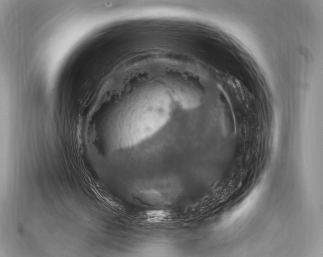 X0000112010050200908031315