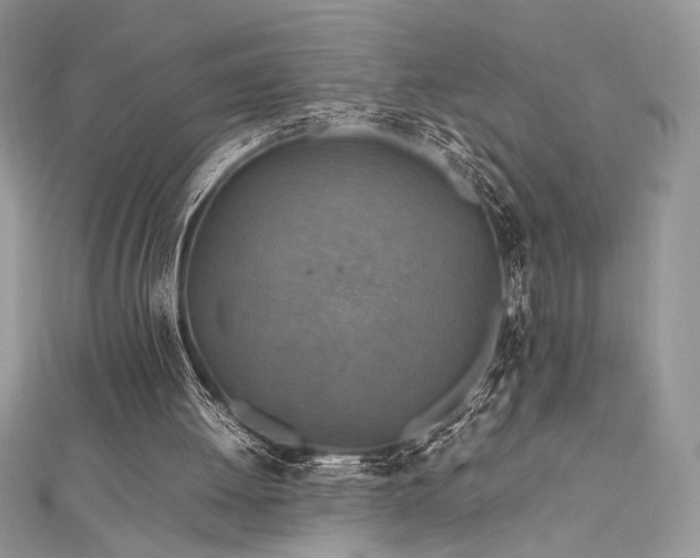 X0000112010052200908031315