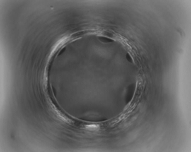 X0000112010053200908031315