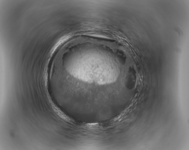 X0000112010054200908031315