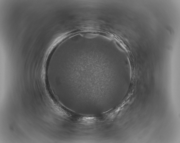 X0000112010055200908031315