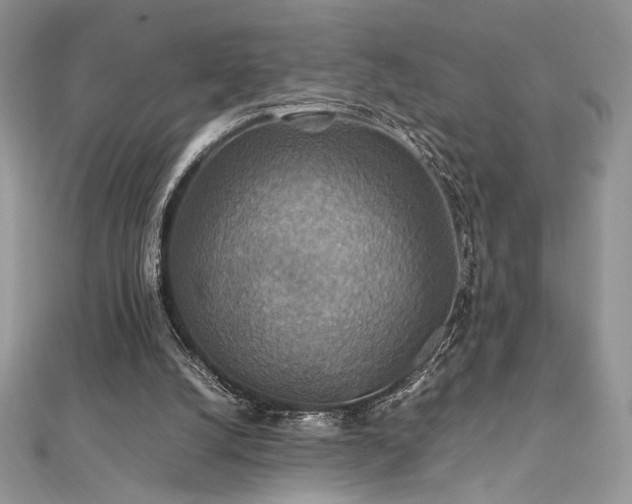 X0000112010056200908031315