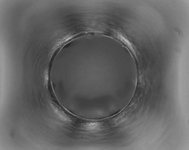 X0000112010059200908031315