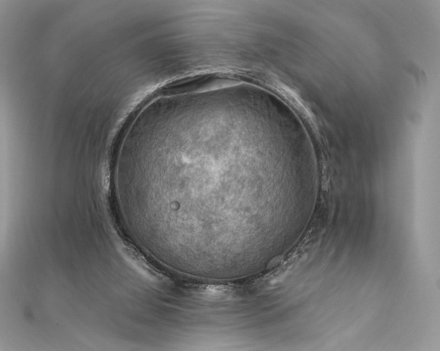 X0000112010060200908031315