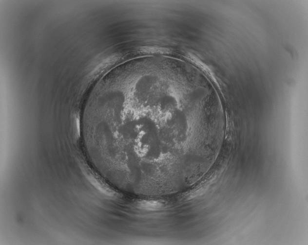 X0000112010061200908031315