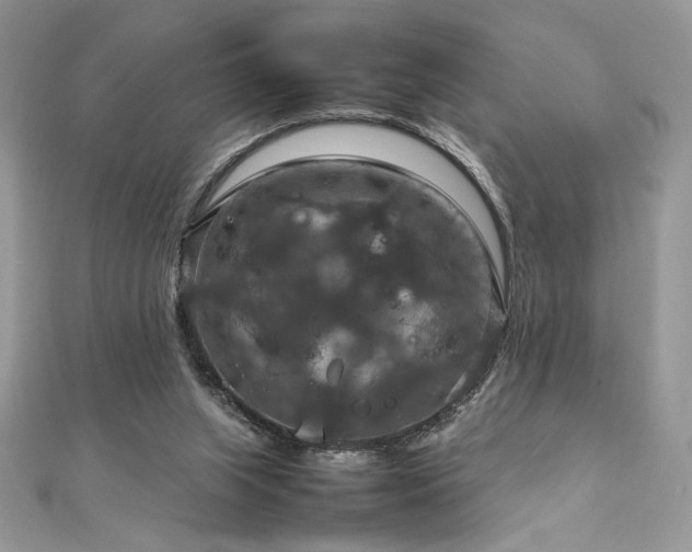 X0000112010063200908031315