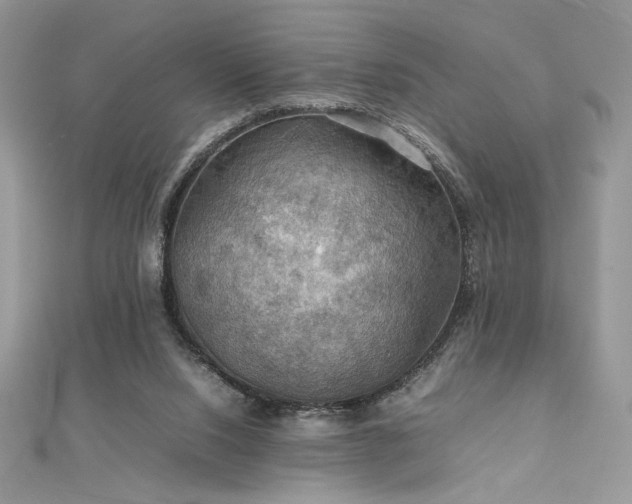 X0000112010064200908031315