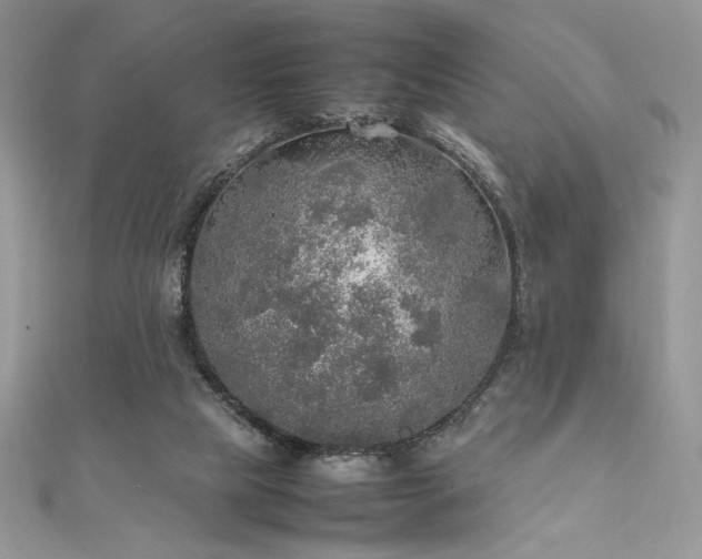 X0000112010065200908031315