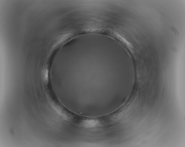 X0000112010067200908031315