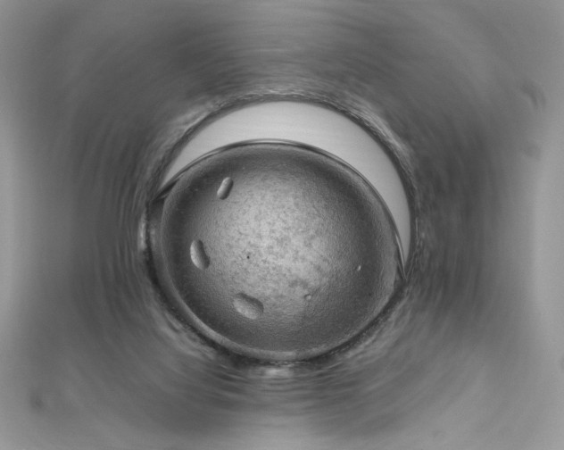 X0000112010068200908031315