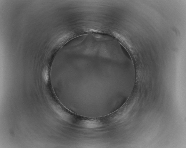 X0000112010069200908031315