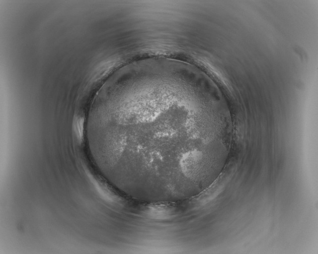 X0000112010070200908031315