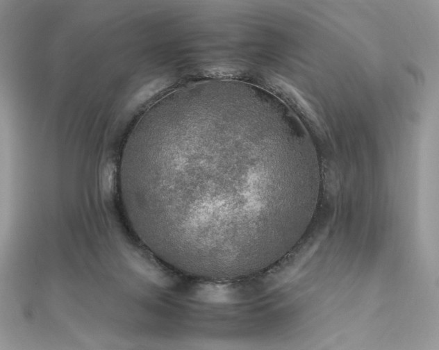 X0000112010071200908031315