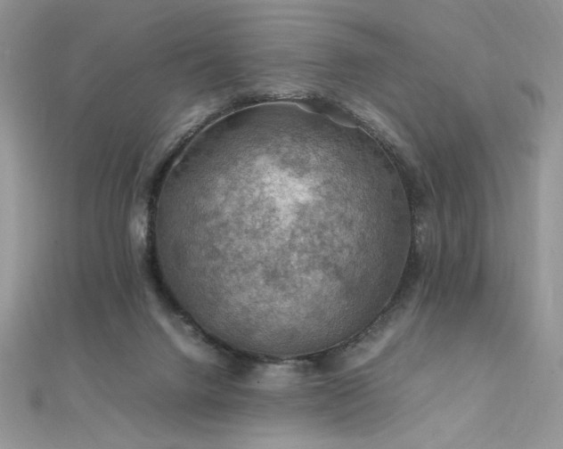 X0000112010072200908031315