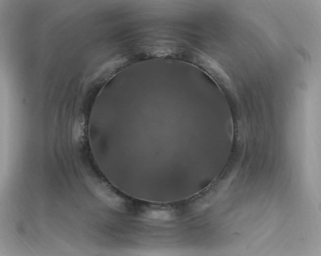 X0000112010073200908031315