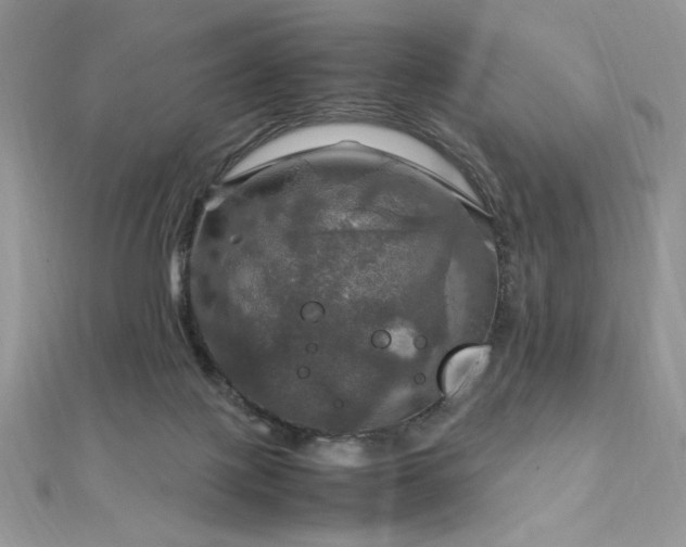 X0000112010075200908031315