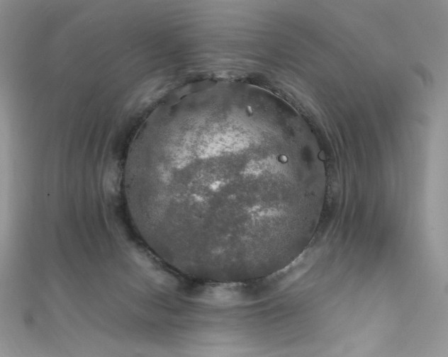 X0000112010078200908031315