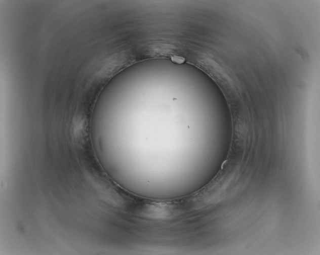 X0000112010079200908031315