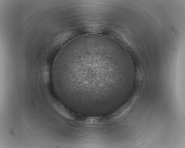 X0000112010080200908031315