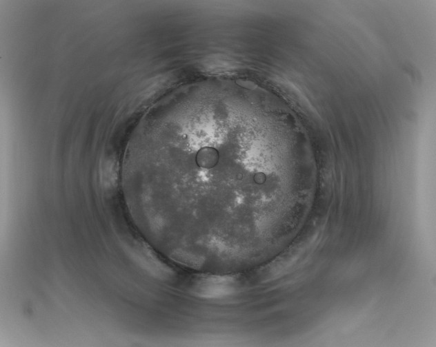 X0000112010081200908031315