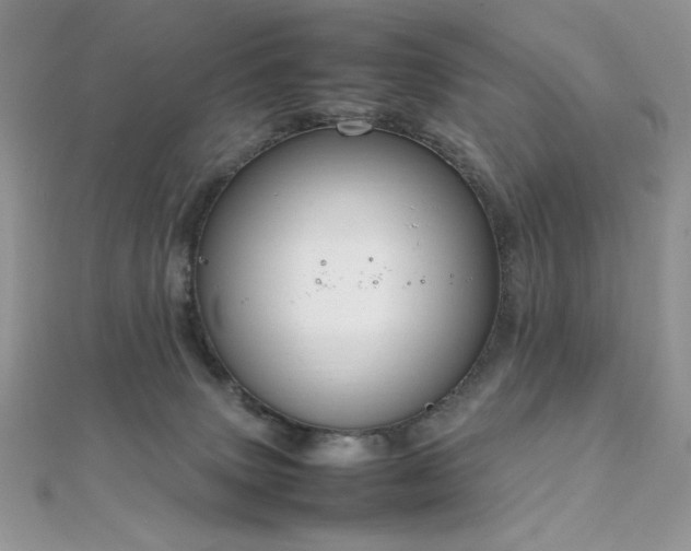 X0000112010083200908031315