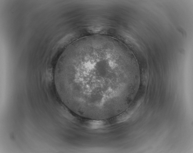 X0000112010085200908031315