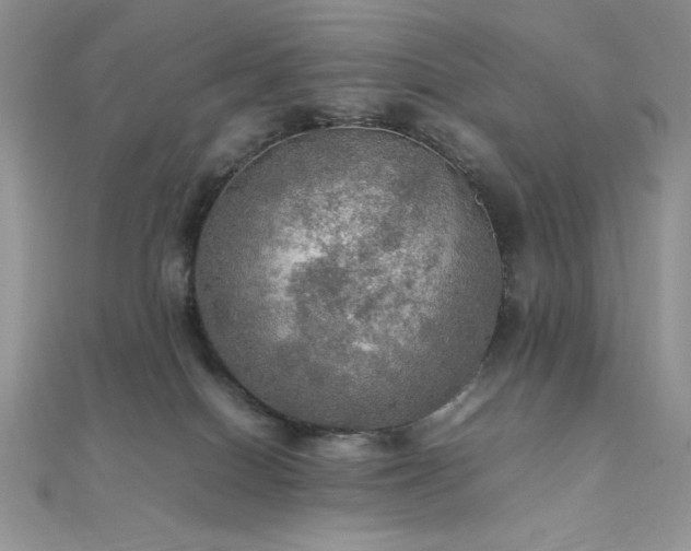 X0000112010086200908031315