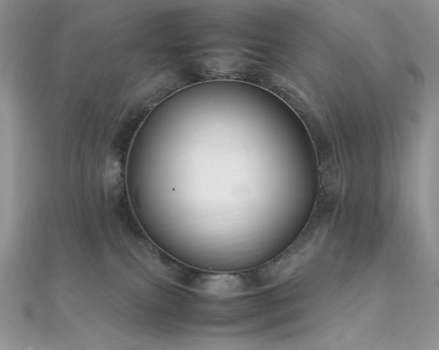 X0000112010087200908031315