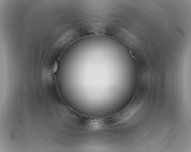 X0000112010088200908031315