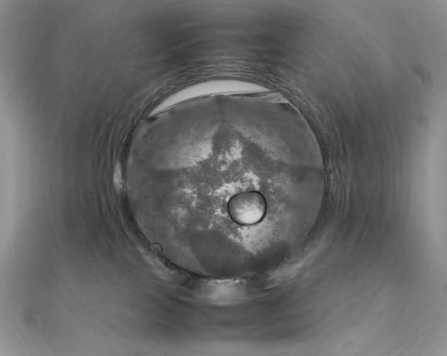 X0000112010089200908031315