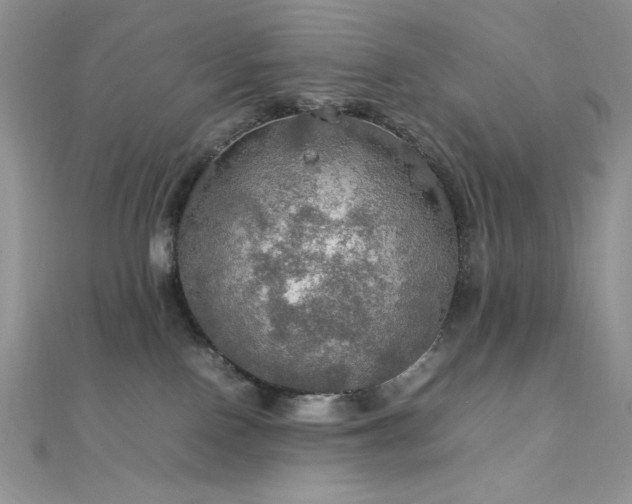 X0000112010090200908031315