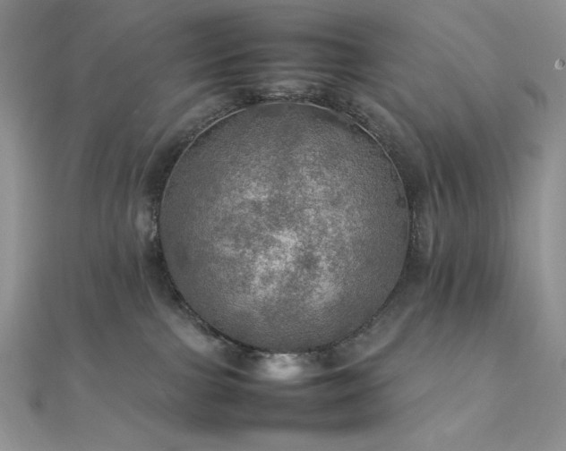 X0000112010091200908031315