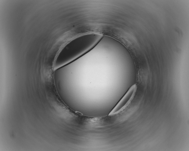 X0000112010092200908031315