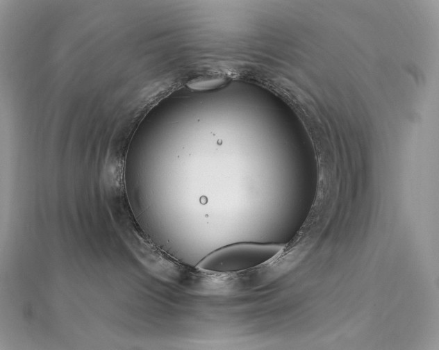 X0000112010096200908031315