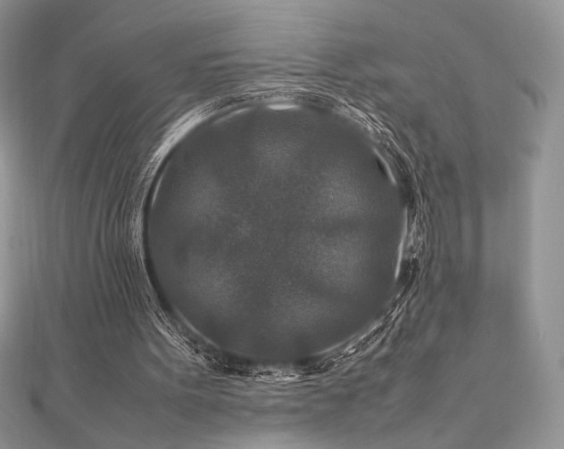 X0000112010099200908031315