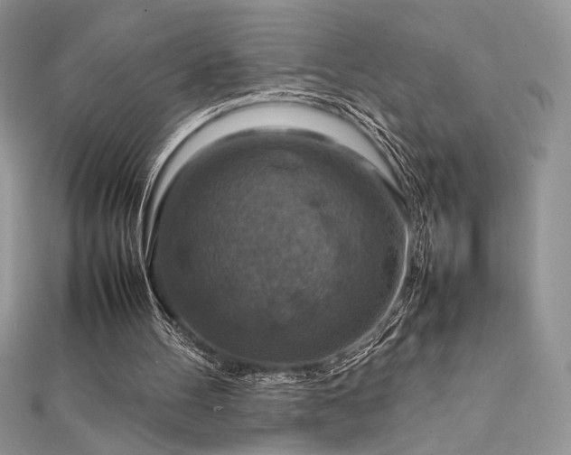 X0000112010100200908031315