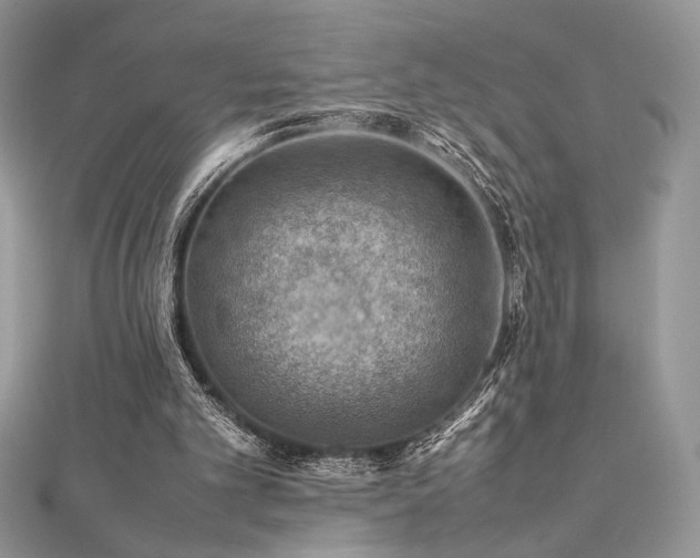 X0000112010101200908031315