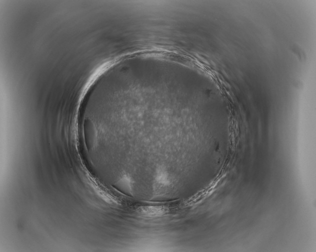 X0000112010102200908031315