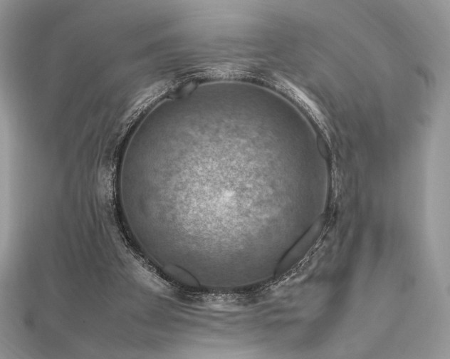 X0000112010105200908031315