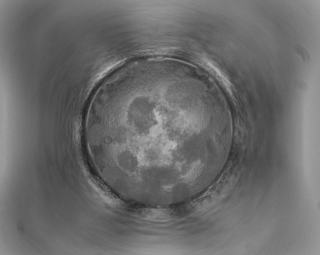 X0000112010107200908031315